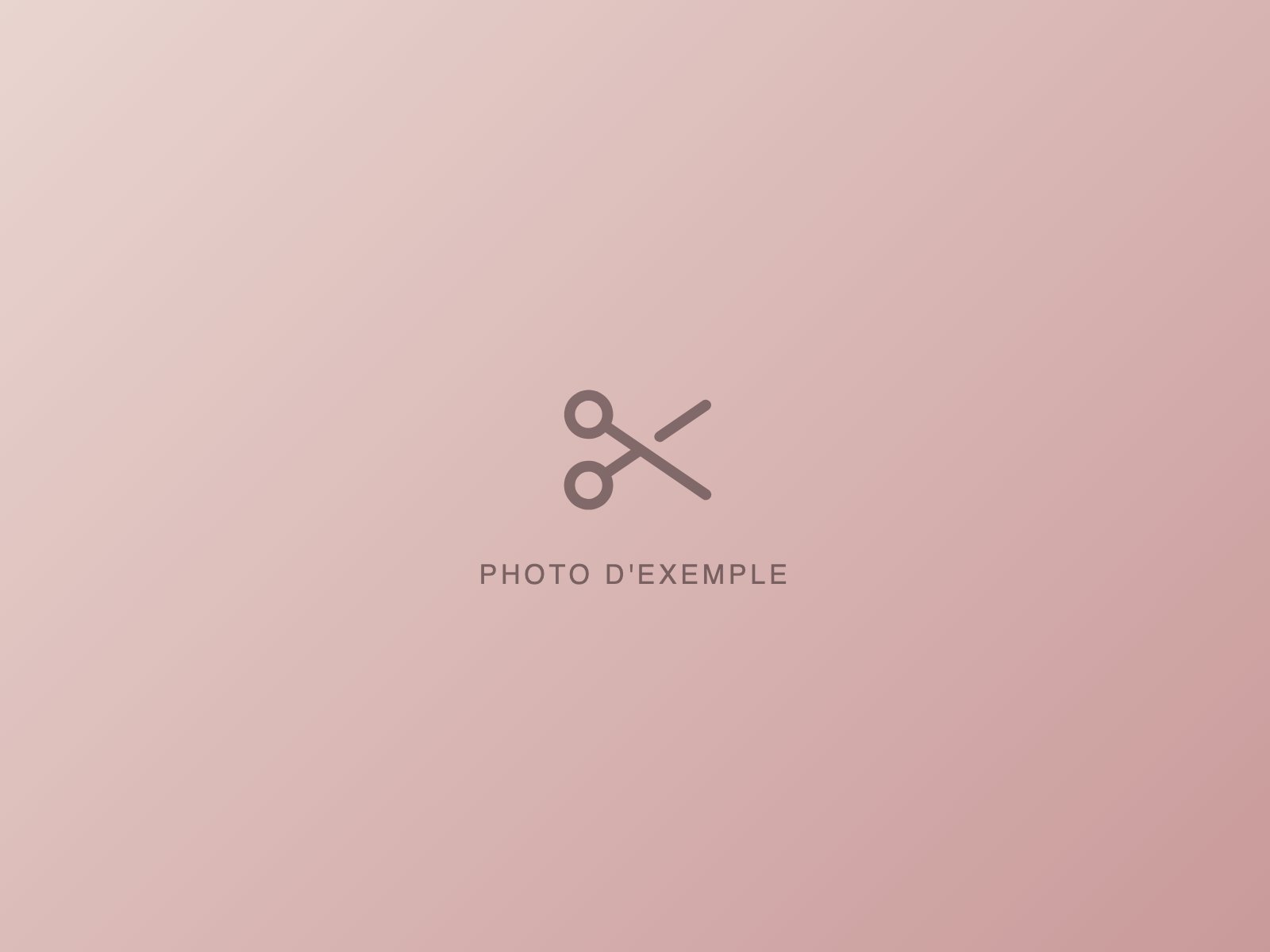 Salon Exemple